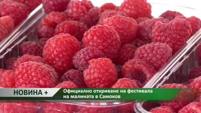 Официално откриване на фестивала на малината в Самоков